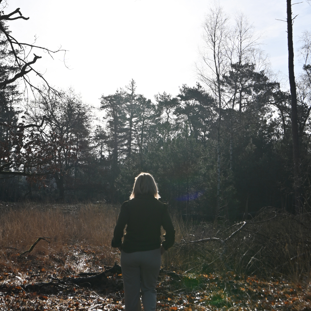 Adobe Express - file (1)