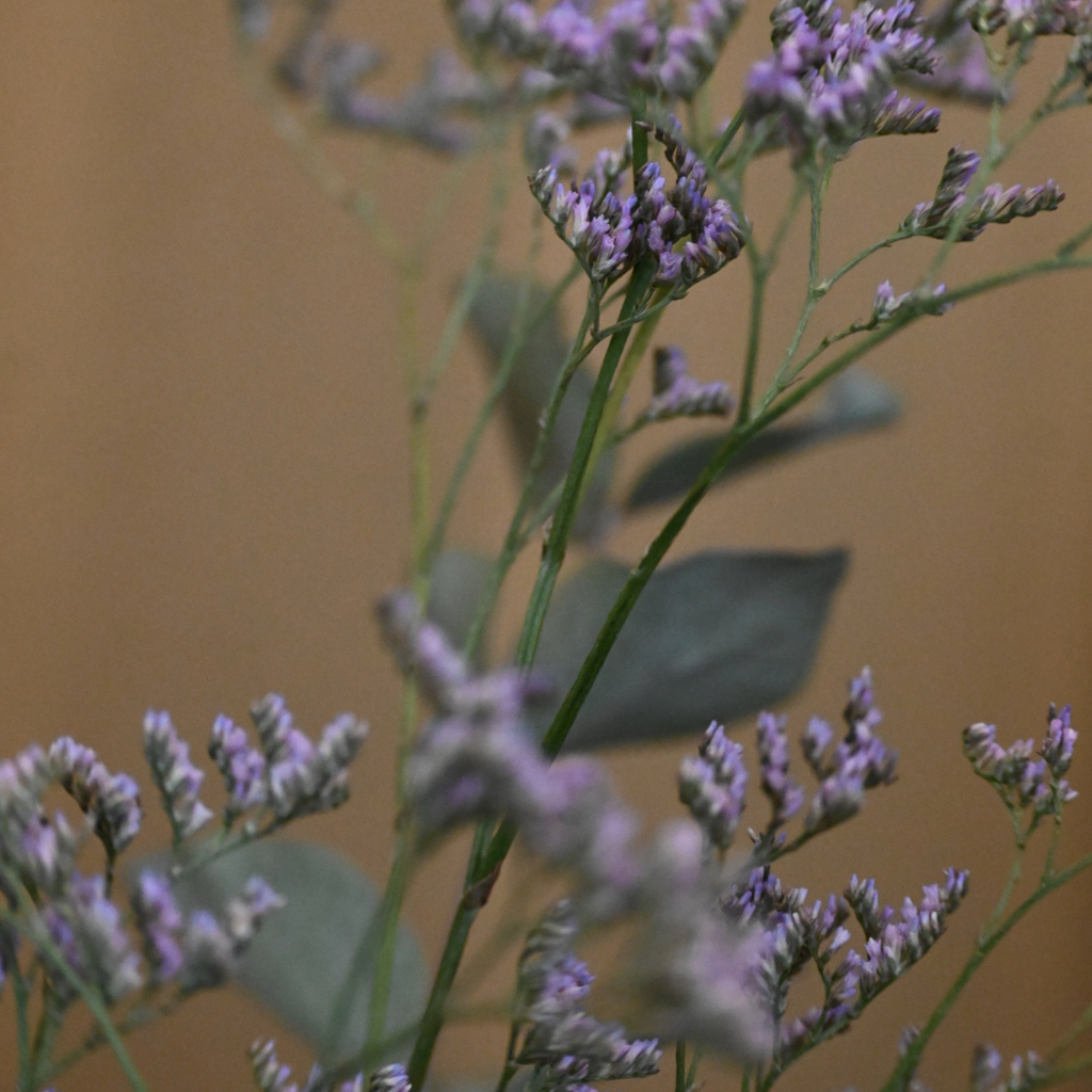 Adobe Express - file (20) Tarieven voor onze therapieën