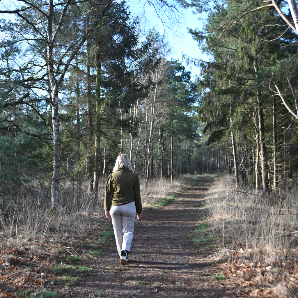 Adobe Express - file (5)