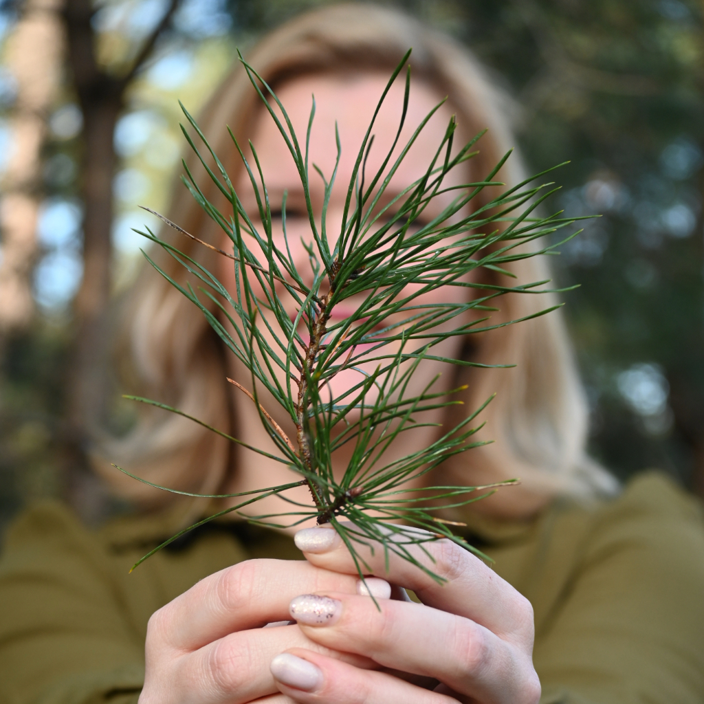 Adobe Express - file (6)